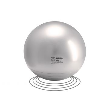 Gymnic Memory Bal Zilver