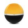 Bloon Paris Elixer Mimosa
