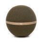 Bloon Paris Curly Fern